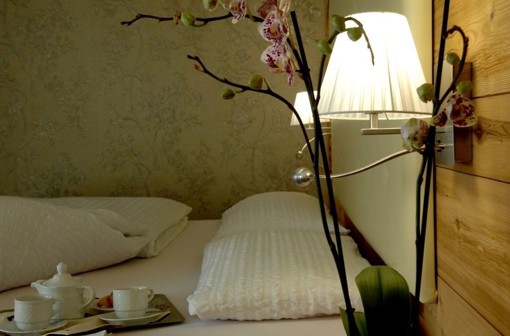 Cimon Dolomites Hotel بريدازو المظهر الخارجي الصورة