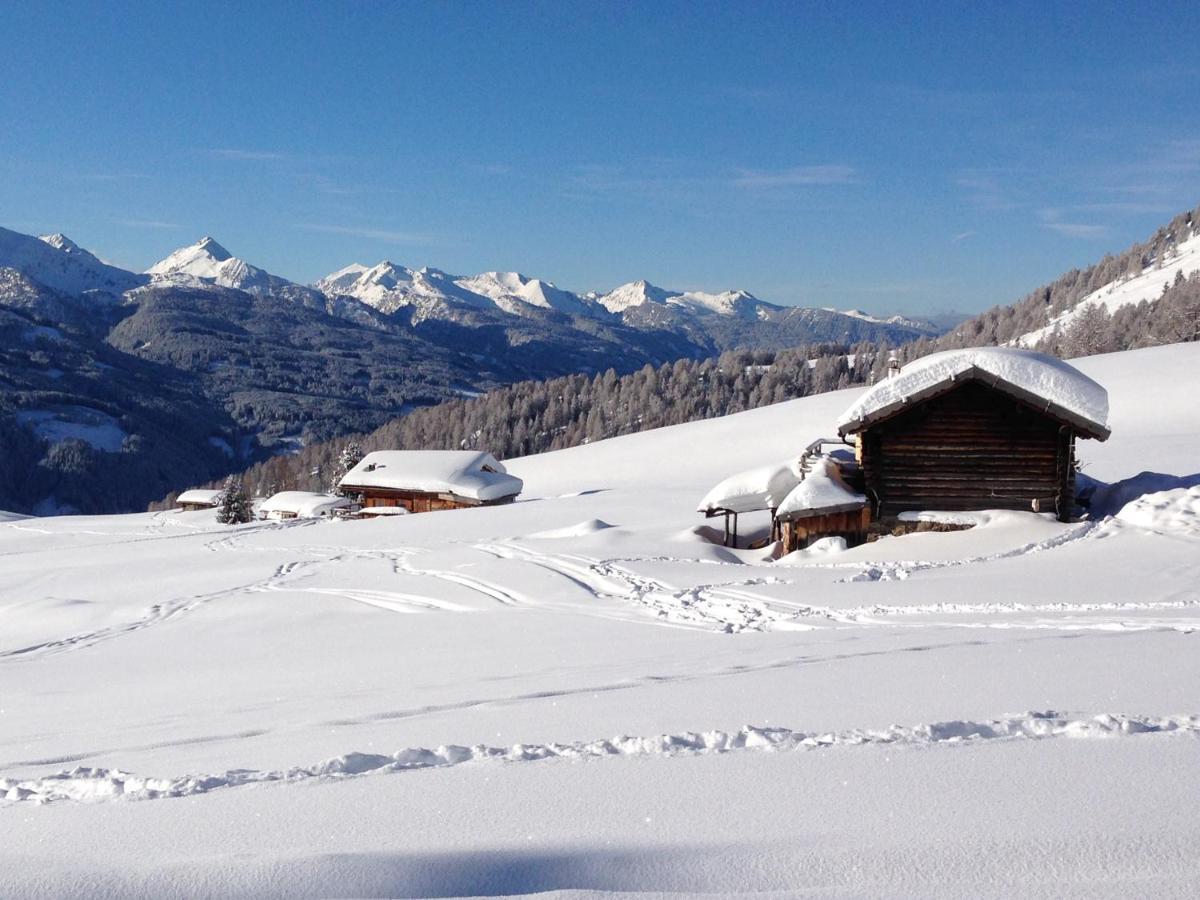 Cimon Dolomites Hotel بريدازو المظهر الخارجي الصورة