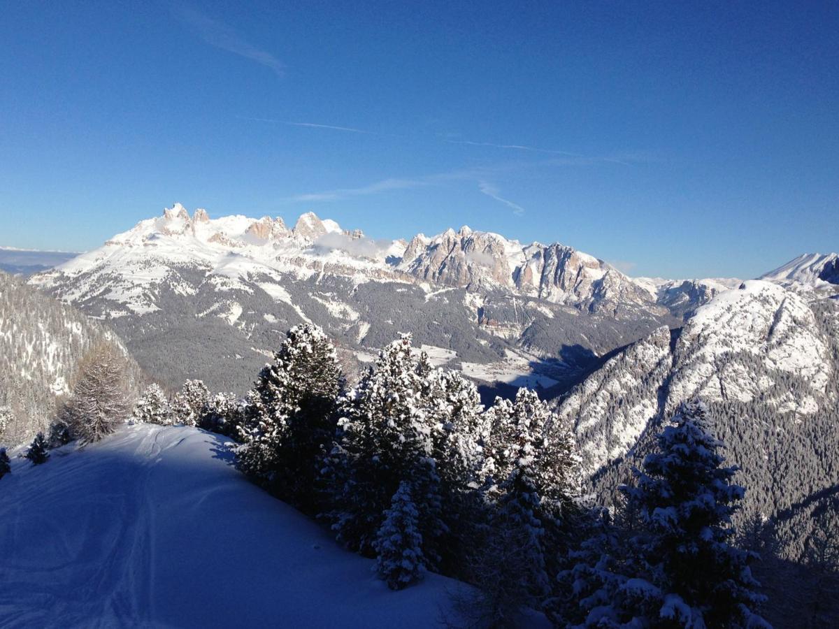 Cimon Dolomites Hotel بريدازو المظهر الخارجي الصورة