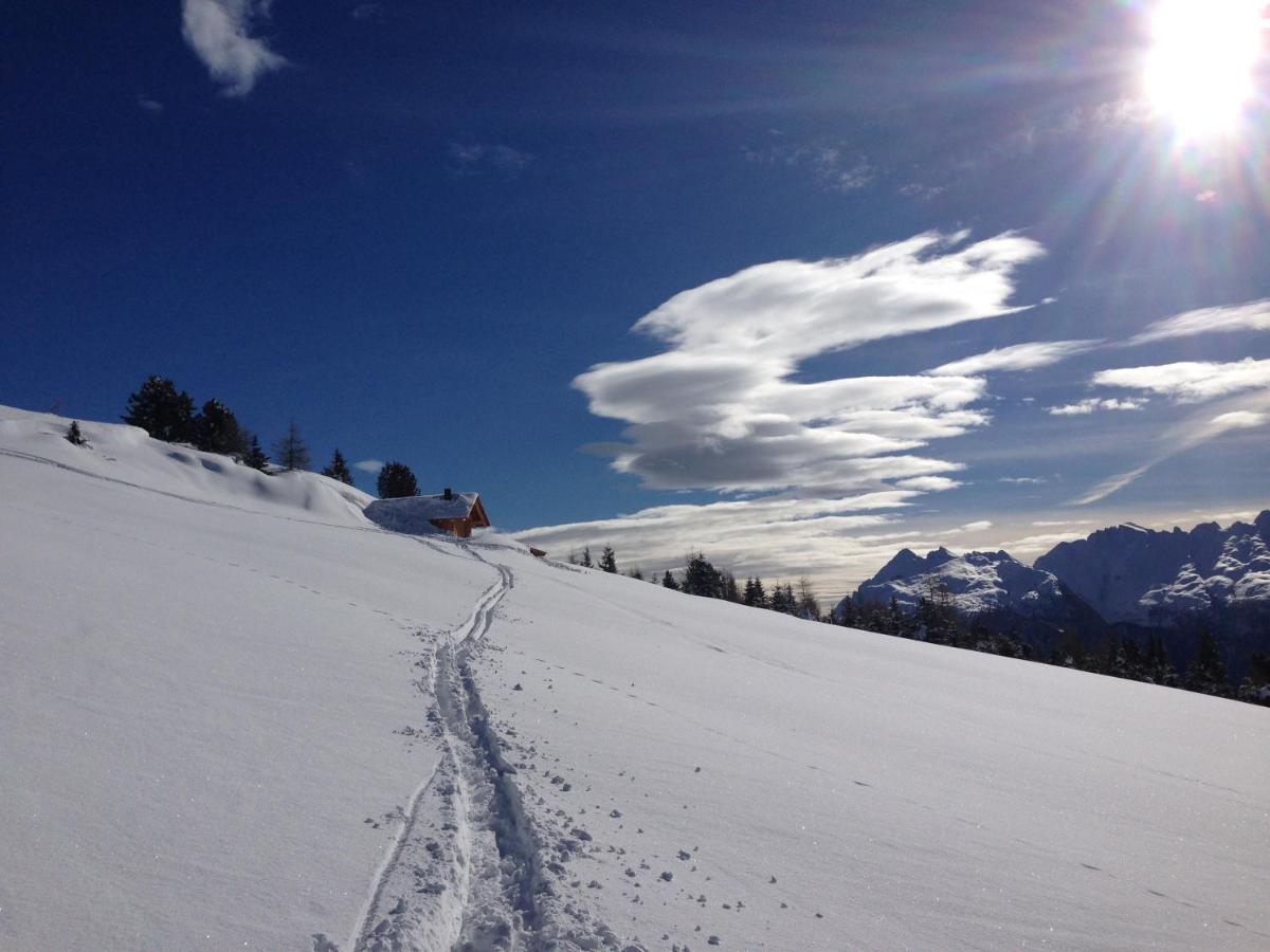Cimon Dolomites Hotel بريدازو المظهر الخارجي الصورة